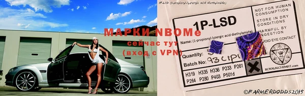 гашик Наволоки